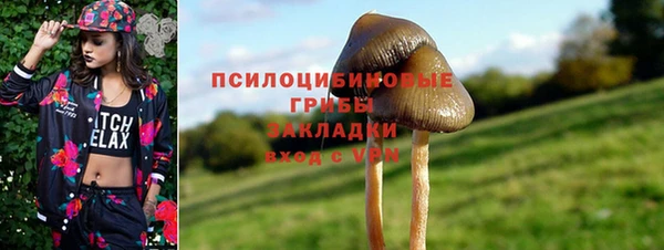 дурь Арсеньев