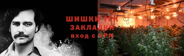 ПСИЛОЦИБИНОВЫЕ ГРИБЫ Аркадак