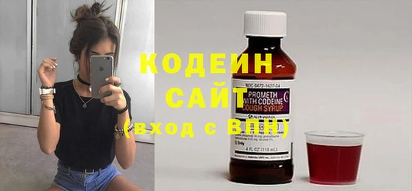 дурь Арсеньев