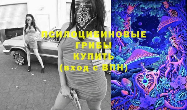 Альфа ПВП Баксан