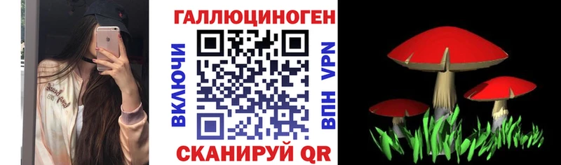Псилоцибиновые грибы прущие грибы  Старица 